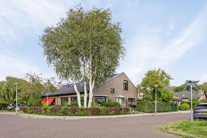 Ranonkelstraat 113, 3261 BT, Oud-beijerland