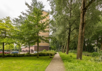 Oostpolder / De Kooy