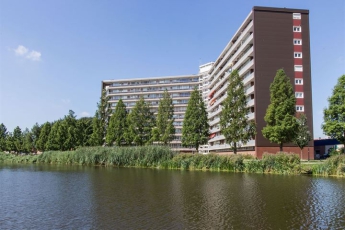 Kraaihoek, Buitenwaard