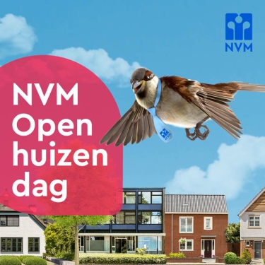 HELP! Ik ga naar de Open Huizen Dag: waar moet ik op letten?