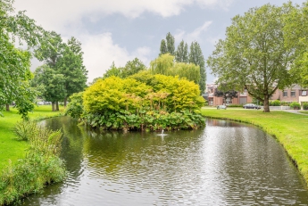 Het Reeland