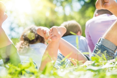 Hoe maak je je tuin makkelijk klaar voor het voorjaar?