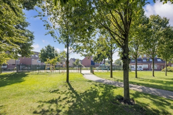Vogelenzang