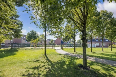 Vogelenzang