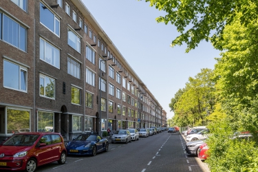 Blijdorp