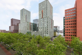 Kop van Zuid