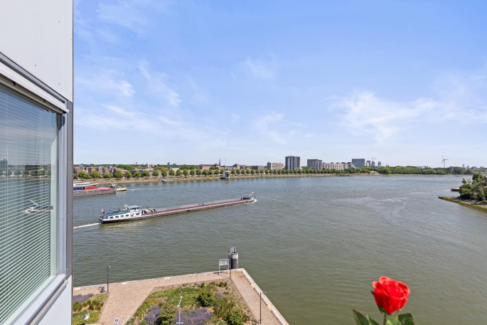Koopvaardijhof 136, 3071 PK, Rotterdam