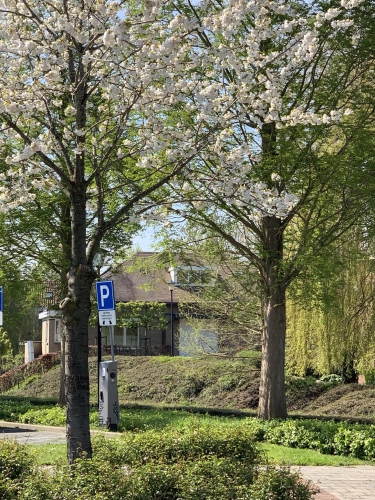 Isaac da Costastraat 81, 3245 RN, Sommelsdijk