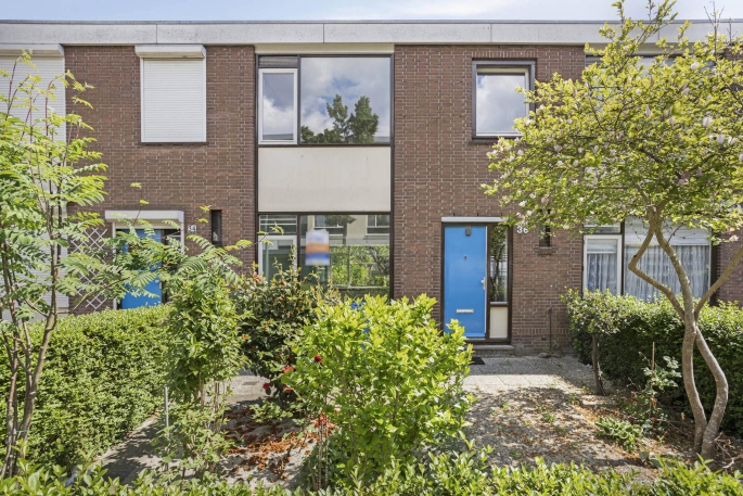 Dumasstraat 36, 3076 HM, Rotterdam