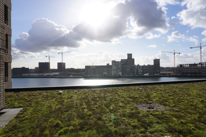 De Monchyplein 8, 3072 MM, Rotterdam