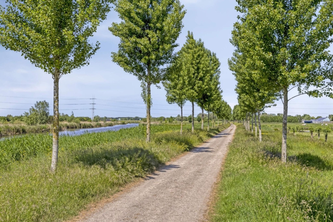 Oesterstraat 24, 2651 KC, Berkel en rodenrijs